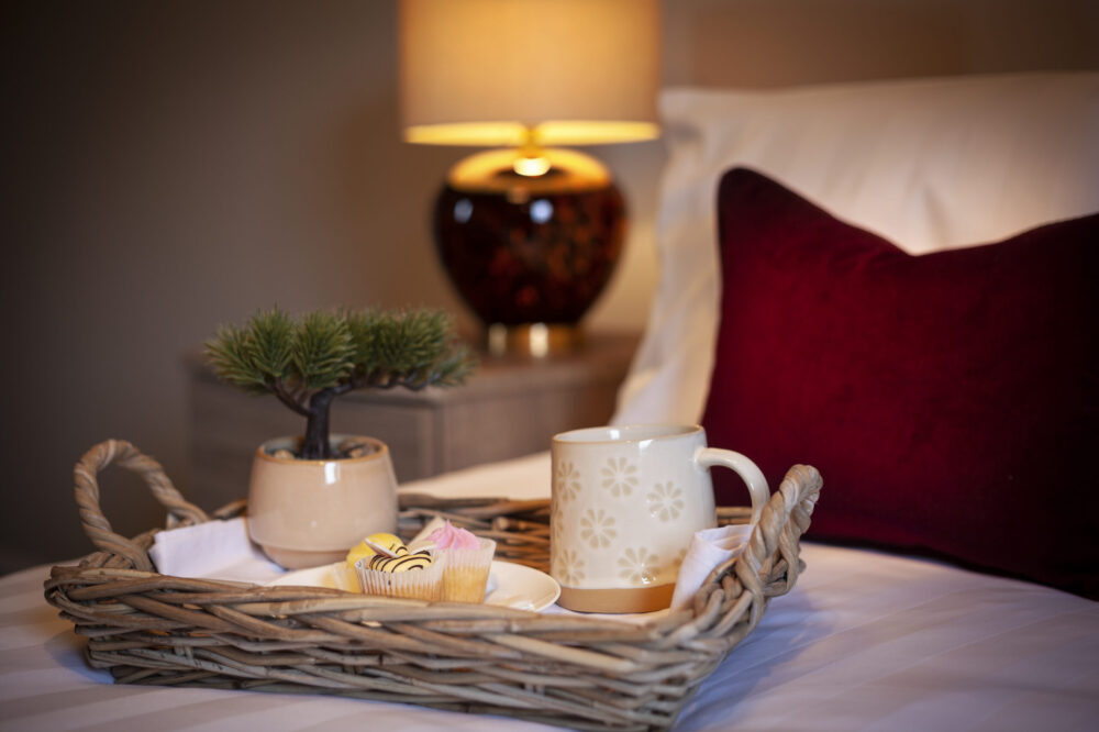 Care Home Standard Bedroom detail